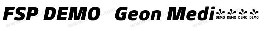 FSP DEMO   Geon Medi字体转换